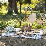 The Steward, Santa Barbara, A Tribute Portfolio Hotel