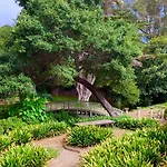 Historic Mansion In Montecito