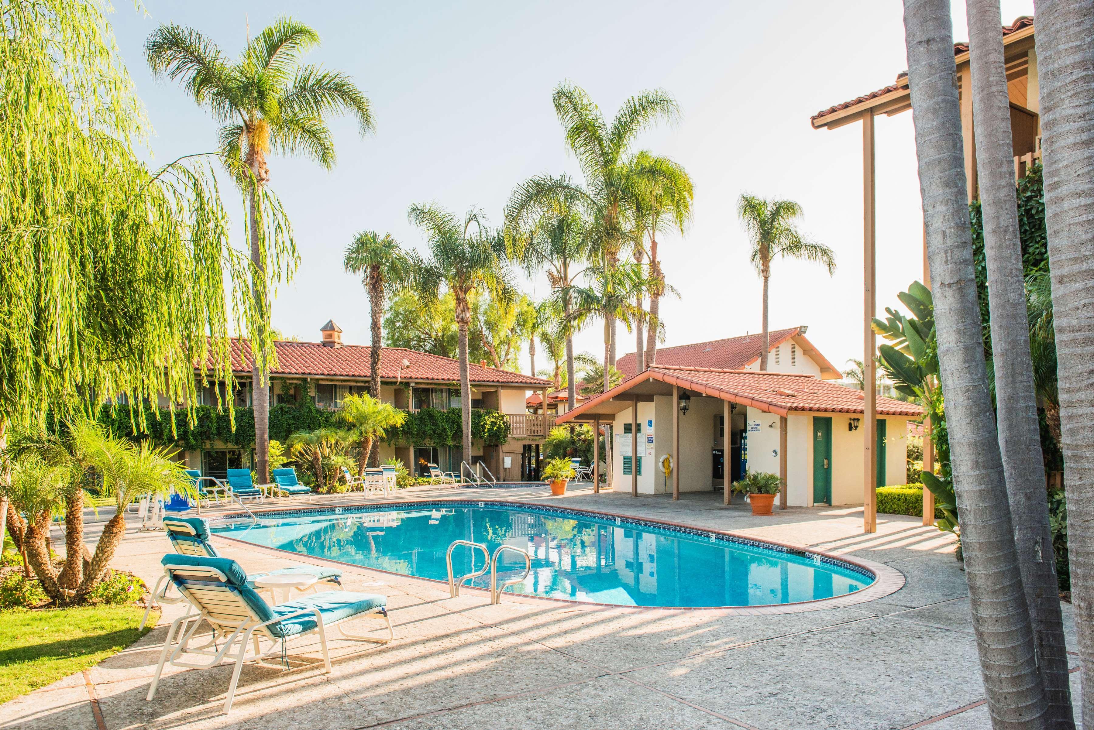 Western Pepper Tree 3*