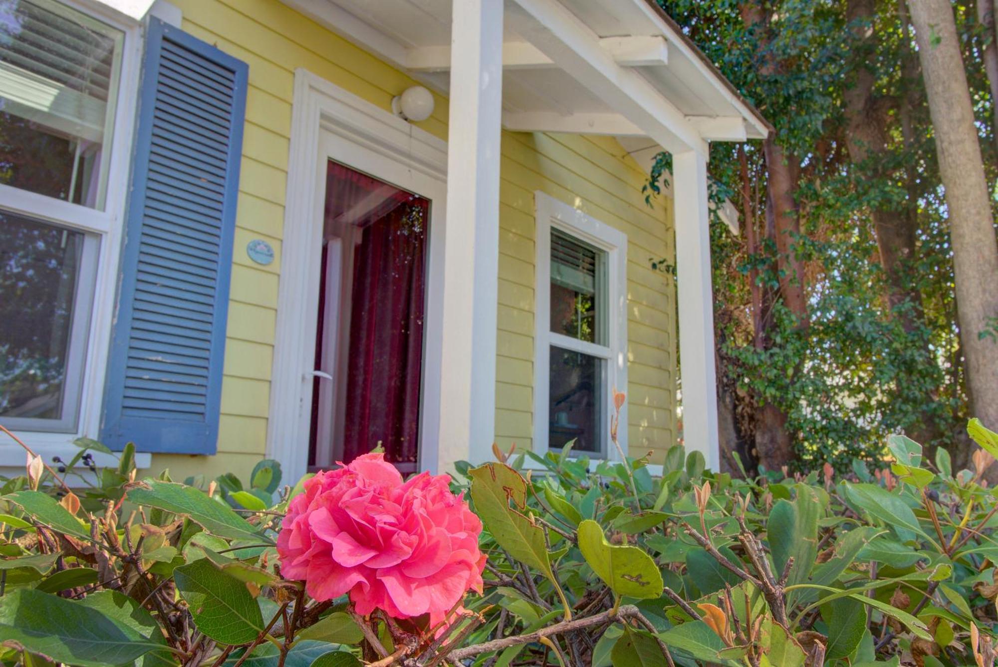 Secret Garden & Bed & Breakfast