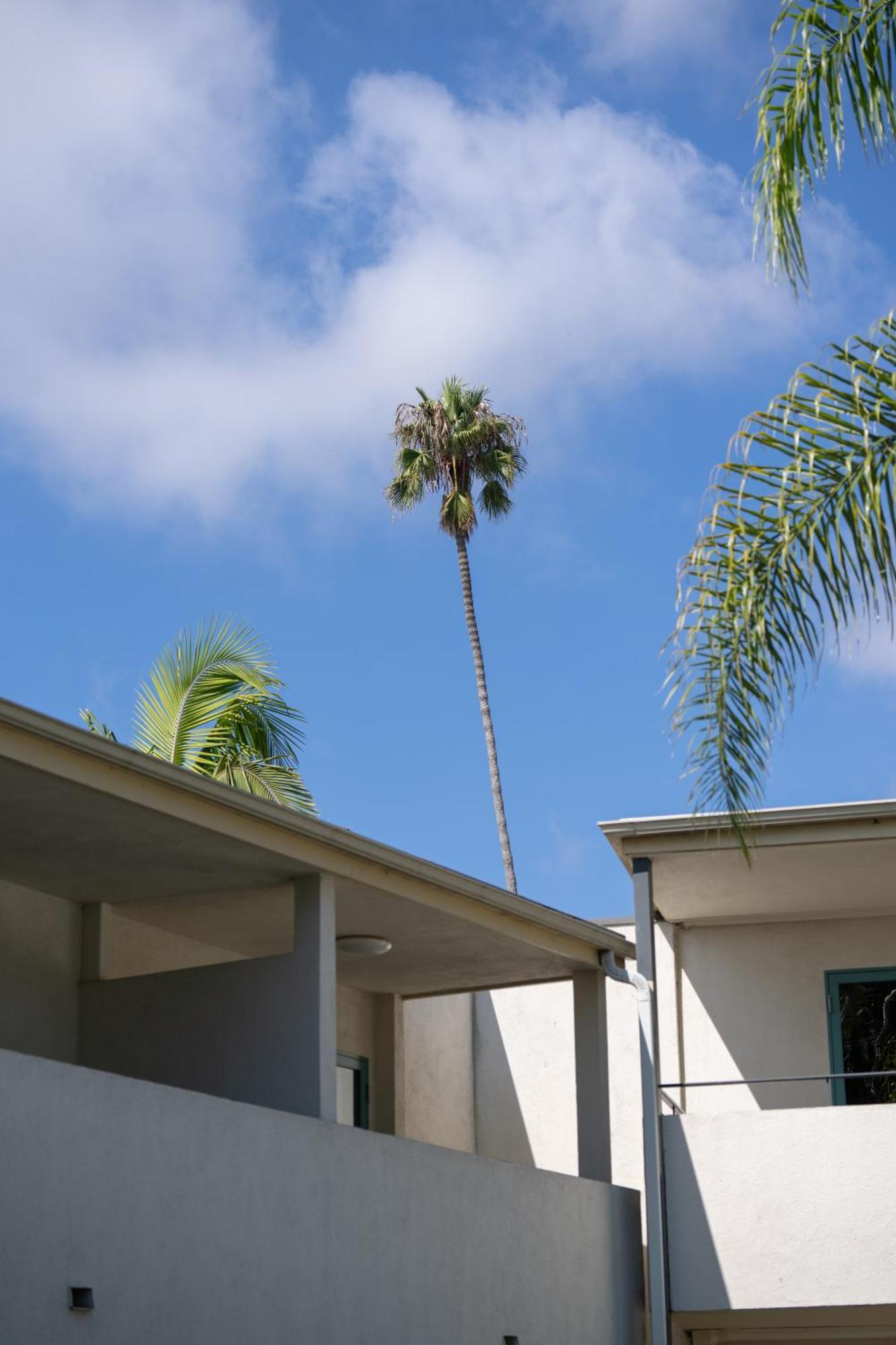 Hotel Lemon Tree Santa Barbara