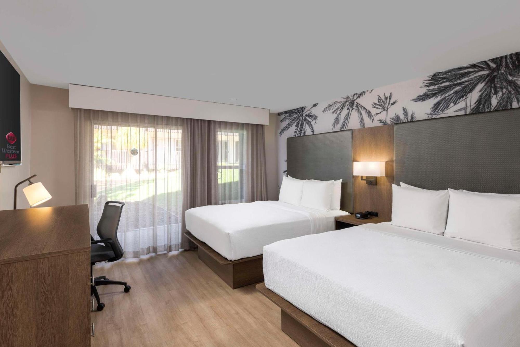 Western Pepper Tree 3*