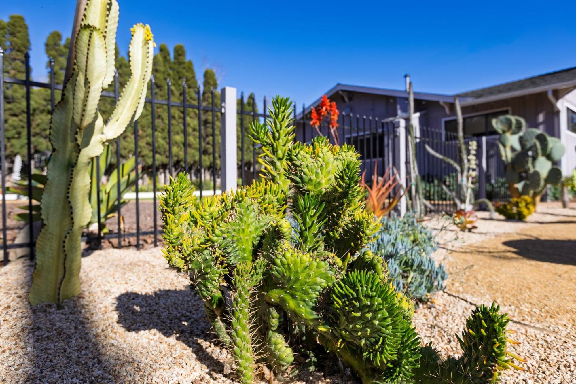 Holiday home Hummingbird Haven By Avantstay Dog-friendly Near The Huge Yardhot Tub Santa Barbara
