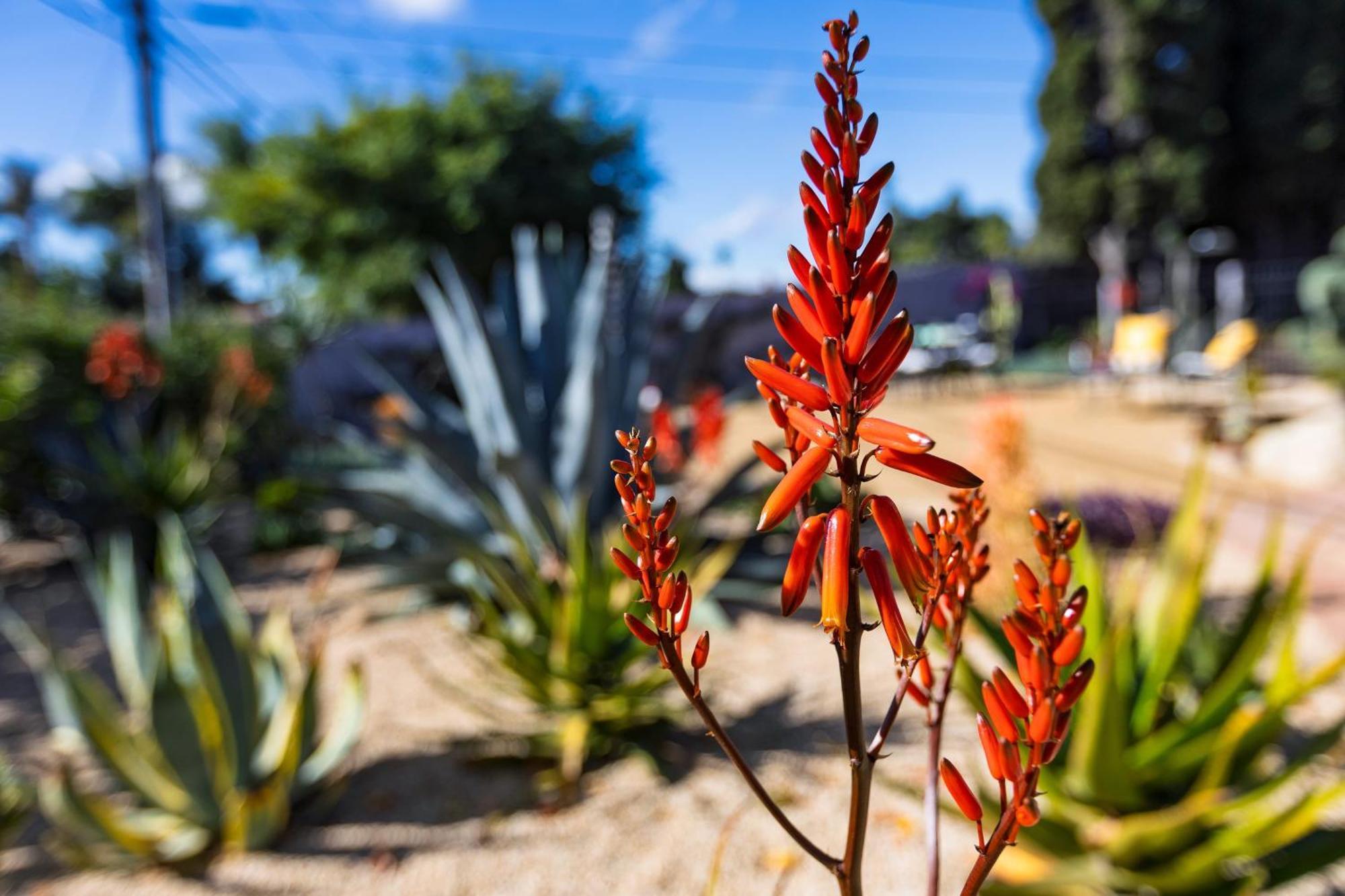 Hummingbird Haven By Avantstay Dog-friendly Near The Huge Yardhot Tub * Santa Barbara