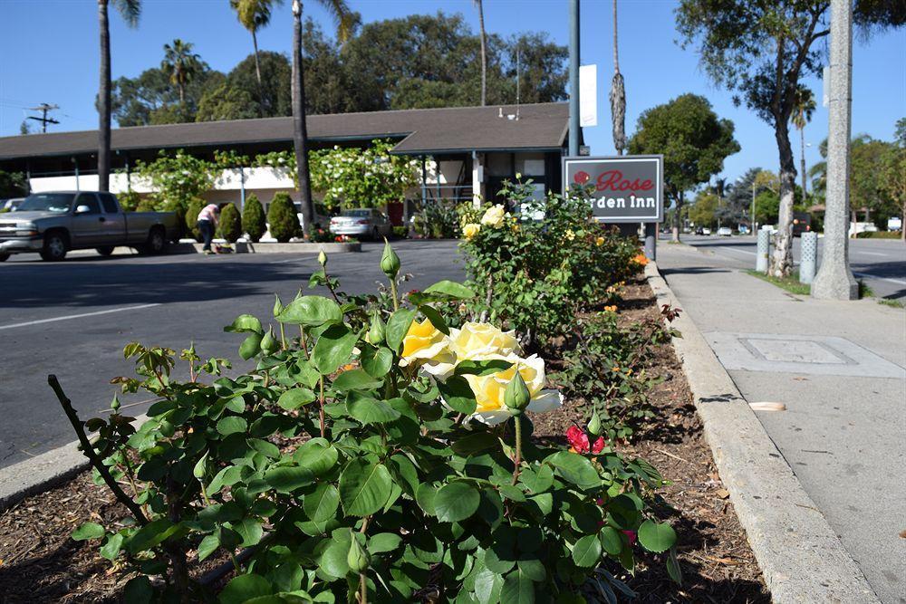 Rose Garden 2*