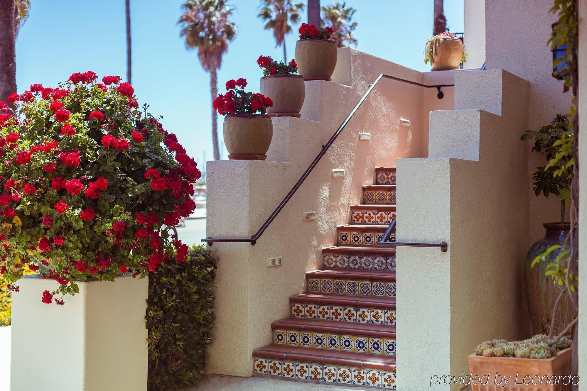 Milo 4* Santa Barbara