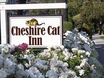 Cheshire Cat &