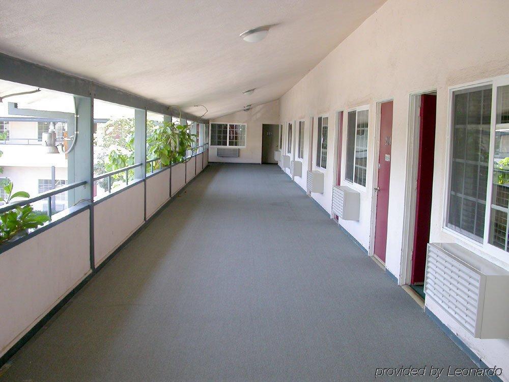 Motel Rose Garden