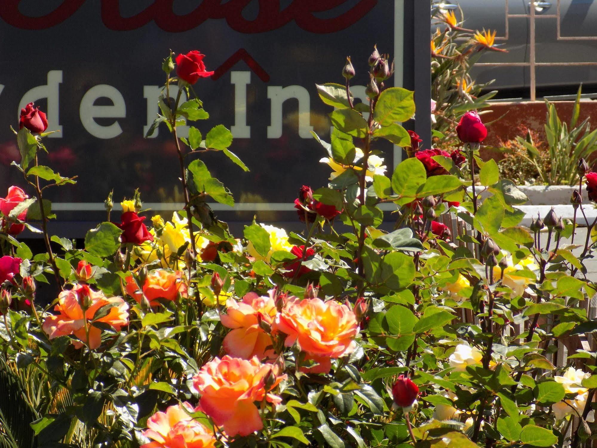 Motel Rose Garden 2*