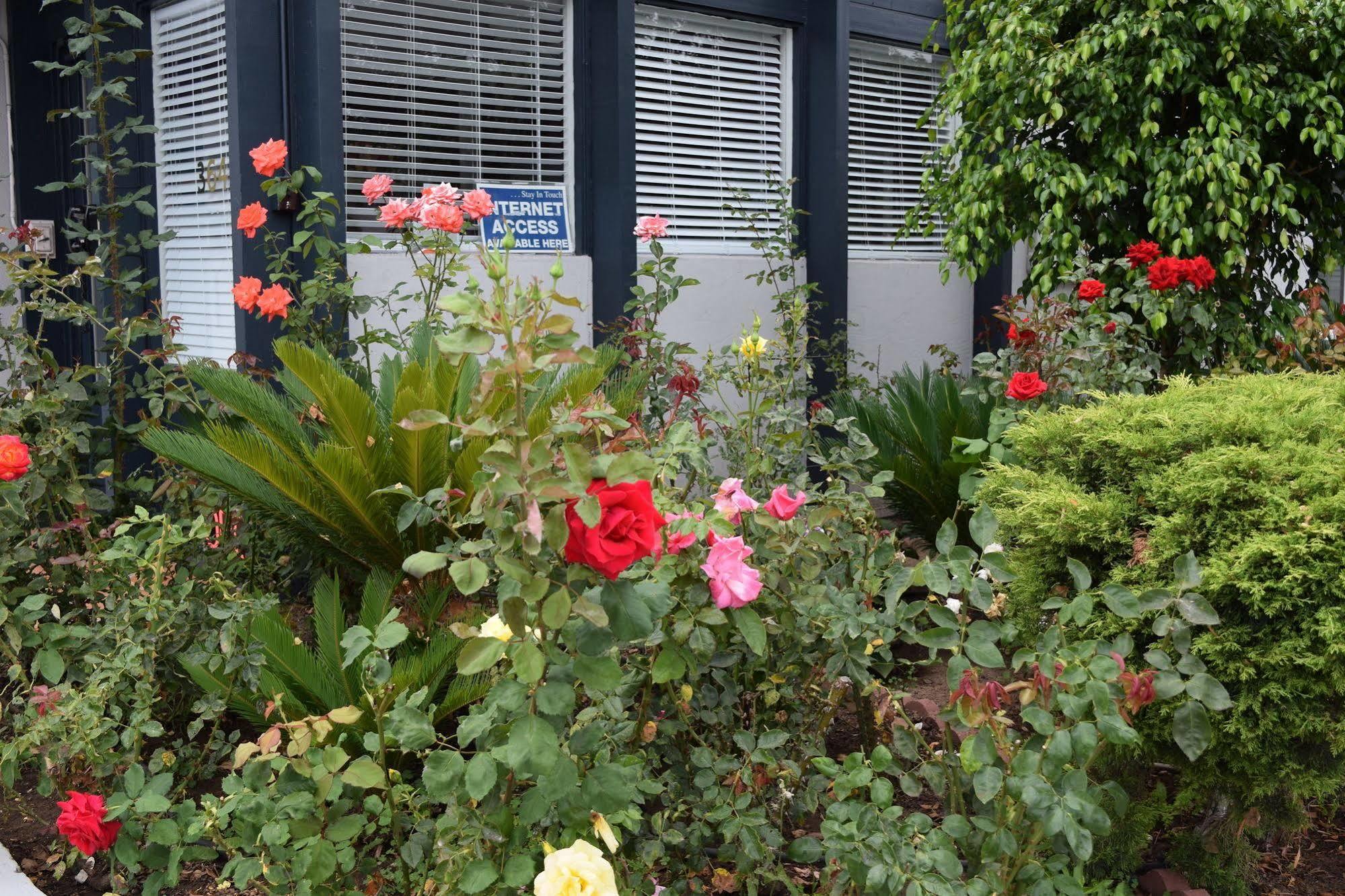 Rose Garden Motel