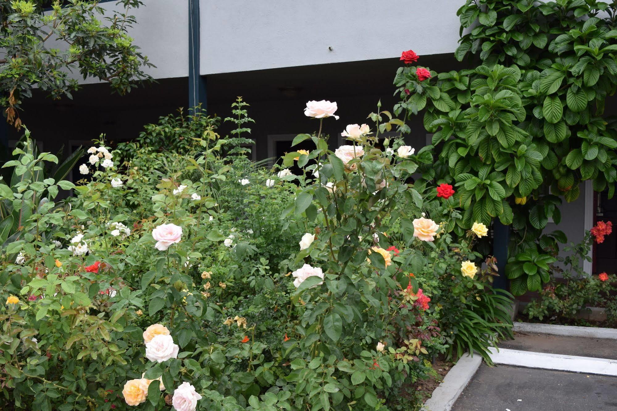 Motel Rose Garden 2*