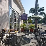 Lavender Inn By The Sea