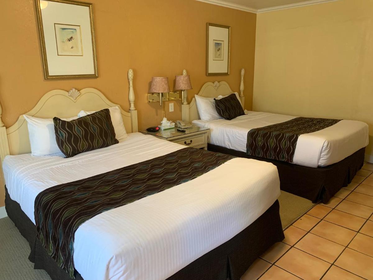 Motel Oasis And
