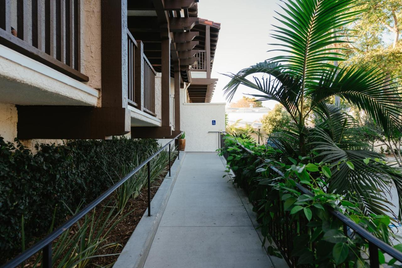 Hotel Palmoro House 3*