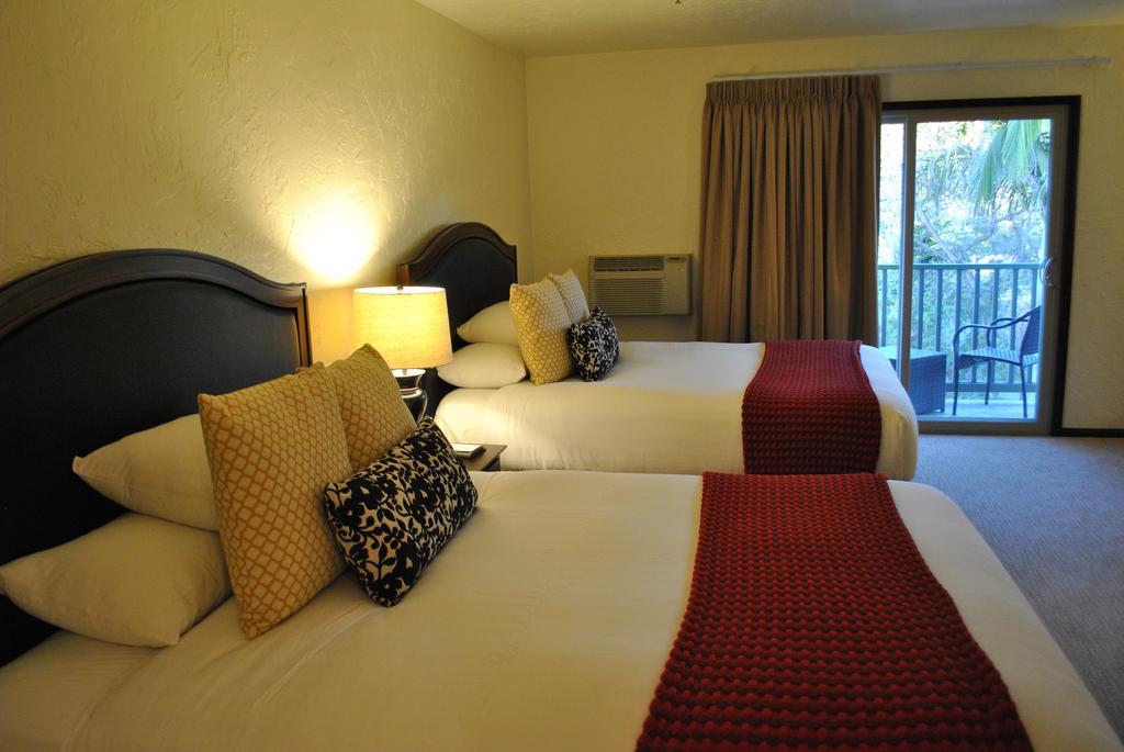 Hotel Palmoro House