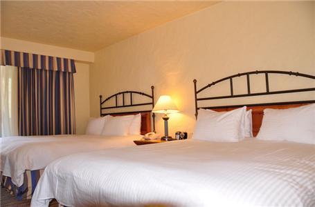 Hotel Palmoro House 3*