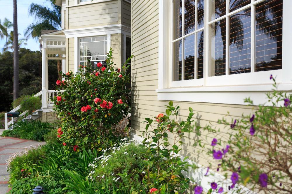 Cheshire Cat & Bed & Breakfast 4*