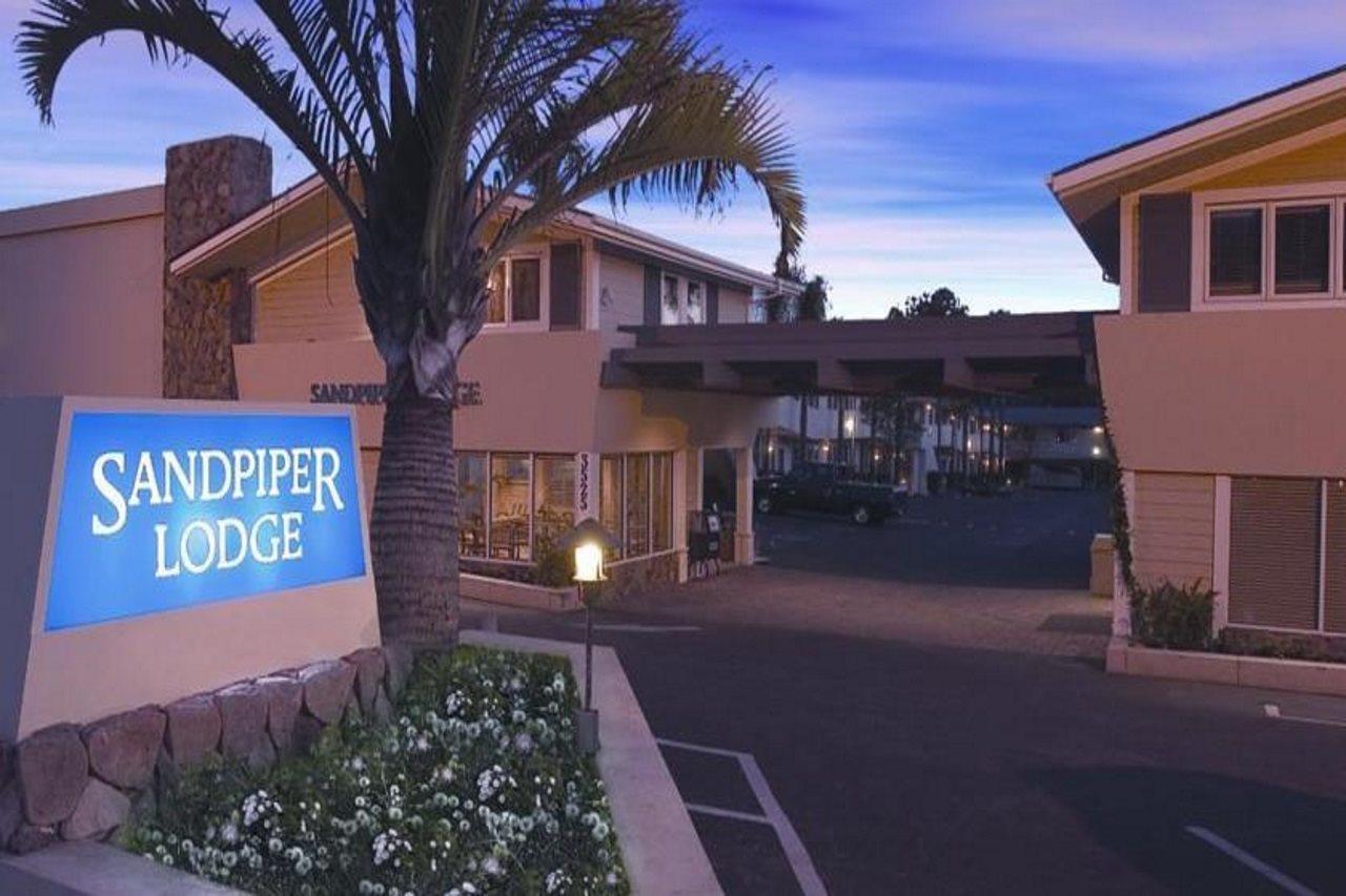 Sandpiper -