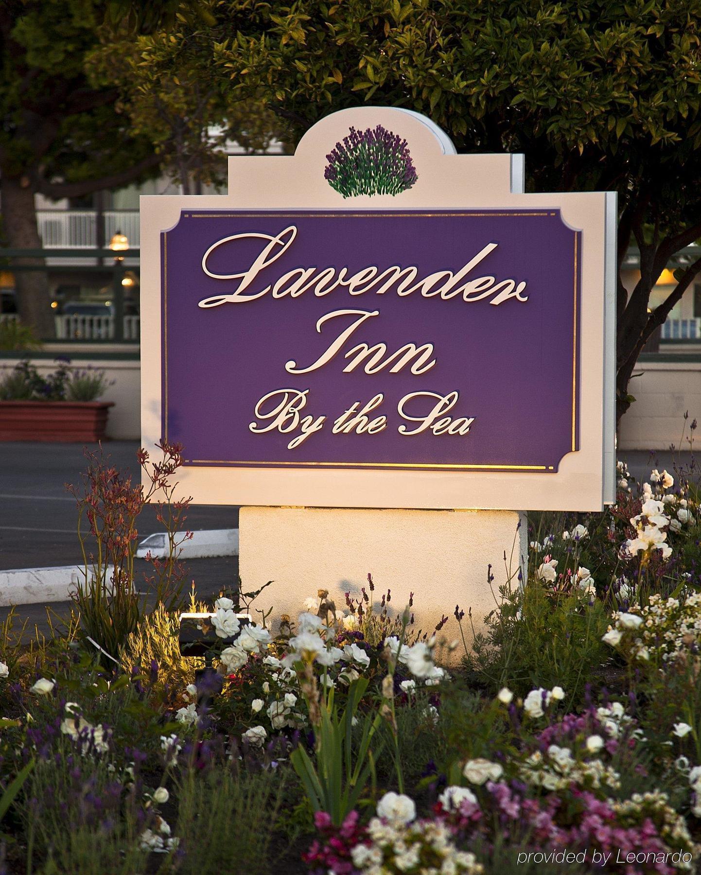 Lavender By The Sea 3* Santa Barbara