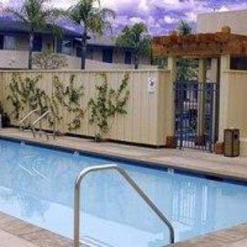 Sandpiper -