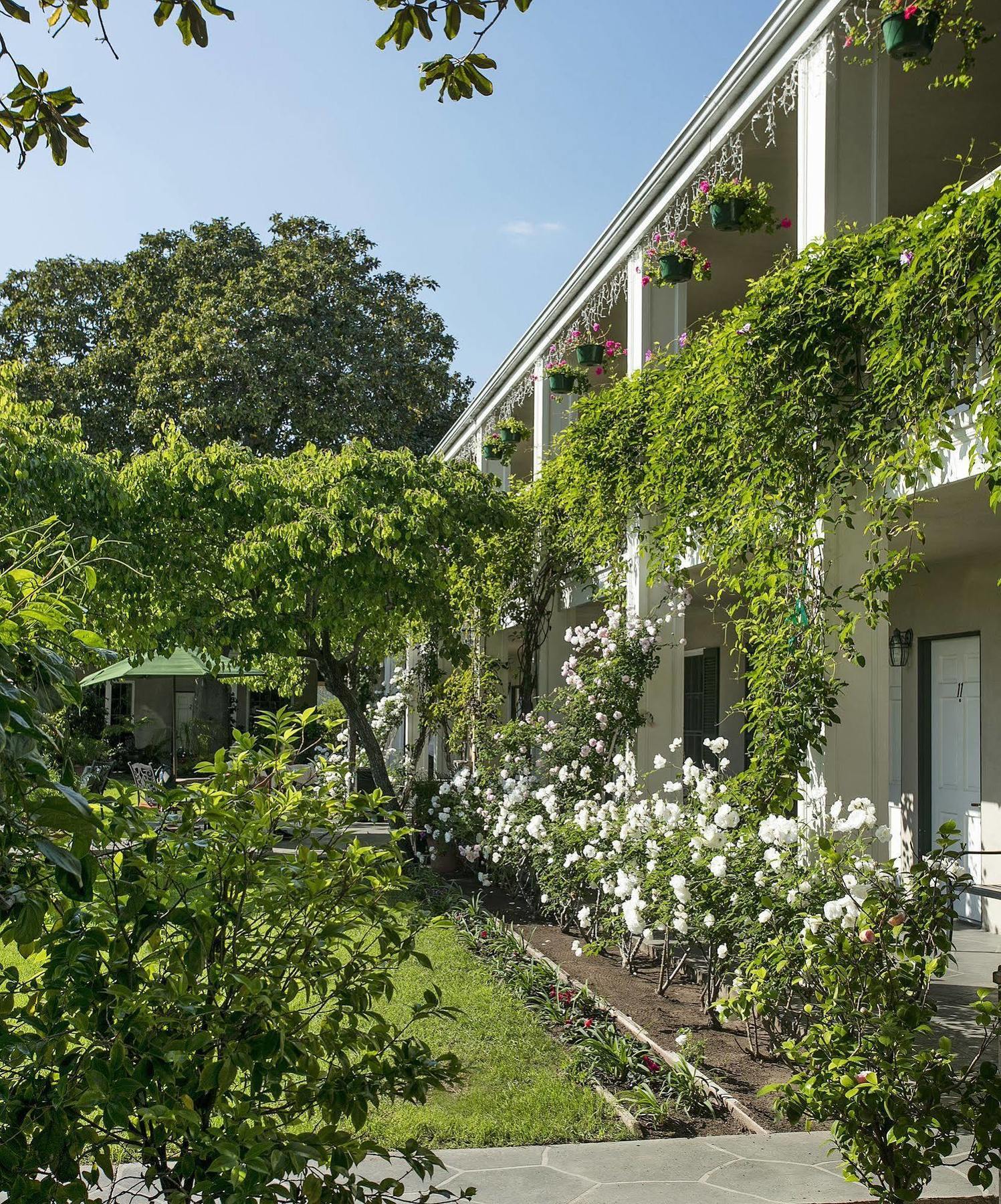 Inn Lavender By The Sea 3*