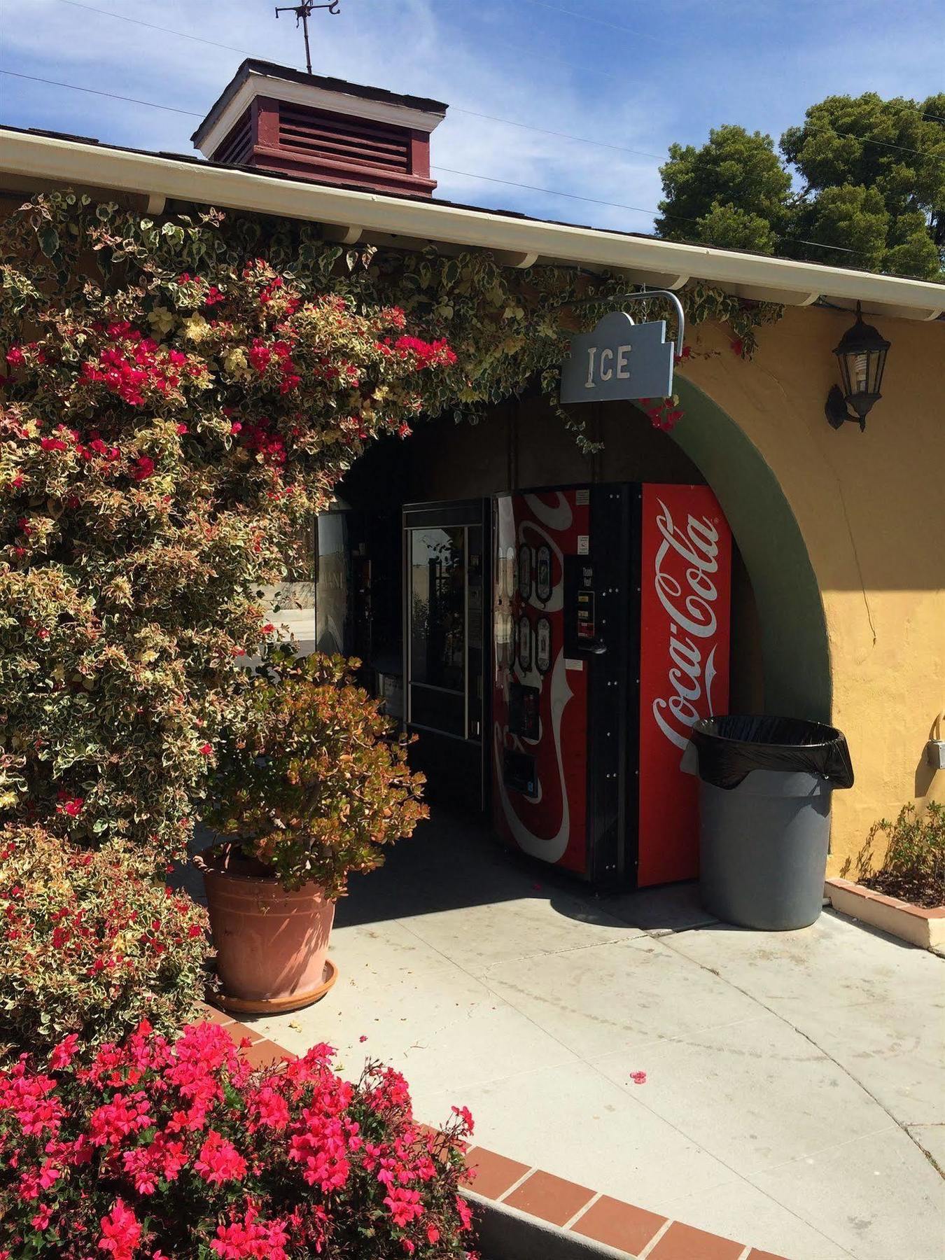Oasis And Santa Barbara