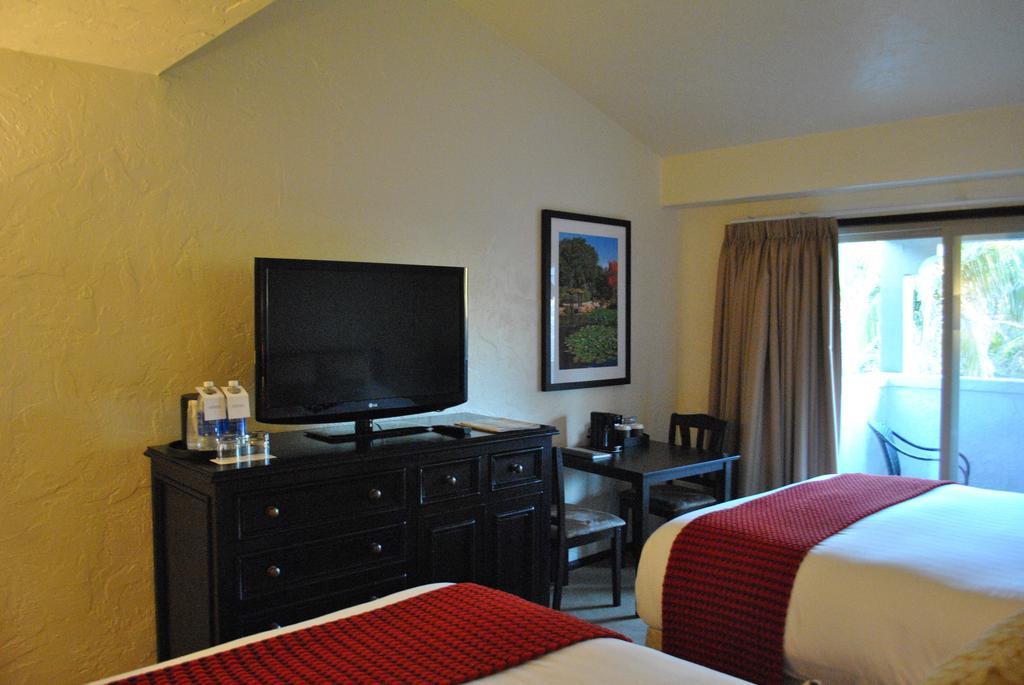 Hotel Palmoro House