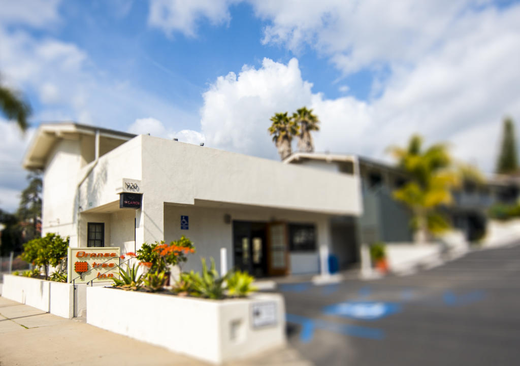 Orange Tree Motel