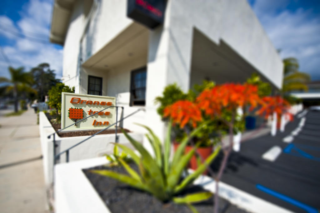Motel Orange Tree