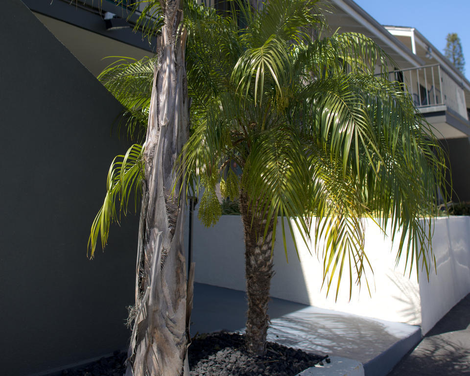 Motel Orange Tree 2*
