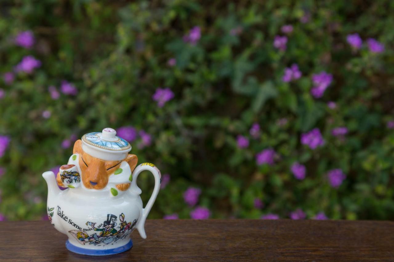 Cheshire Cat & Bed & Breakfast