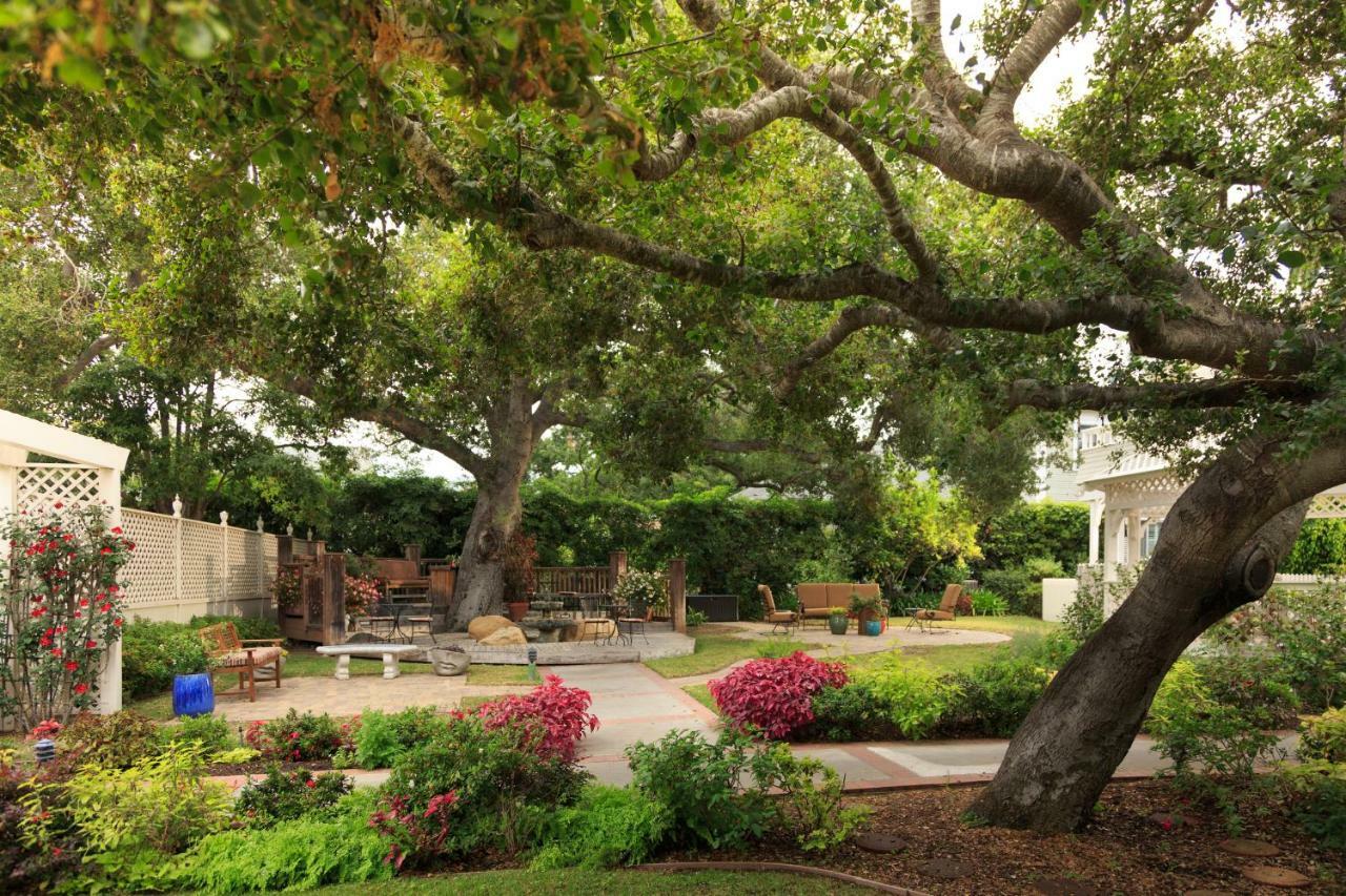 Cheshire Cat & Bed & Breakfast 4*